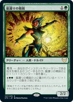 画像1: 龍護りの精鋭/Dragonsguard Elite (STX)《Foil》