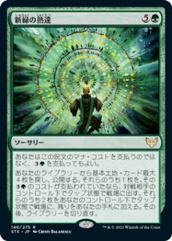 画像1: 新緑の熟達/Verdant Mastery (STX)