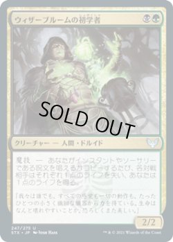 画像1: ウィザーブルームの初学者/Witherbloom Apprentice (STX)《Foil》