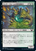 ウィザーブルームの誓約魔道士/Witherbloom Pledgemage (STX)《Foil》