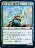 クアンドリクスの誓約魔道士/Quandrix Pledgemage (STX)《Foil》