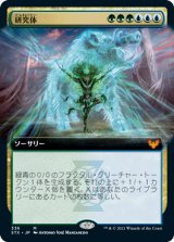 研究体/Body of Research (STX)【拡張アート版】《Foil》