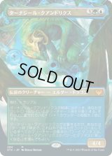 ターナジール・クアンドリクス/Tanazir Quandrix (STX)【拡張アート版】《Foil》