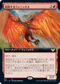回収するフェニックス/Retriever Phoenix (STX)【拡張アート版】