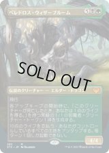 ベレドロス・ウィザーブルーム/Beledros Witherbloom (STX)【拡張アート版】《Foil》