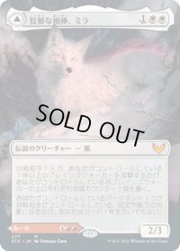 狡猾な相棒、ミラ/Mila, Crafty Companion (STX)【拡張アート版】《Foil》