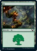 森/Forest 【Ver.2】 (STX)《Foil》