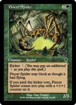 画像1: はさみ蜘蛛/Pincer Spider (INV)