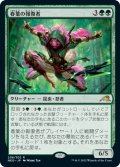 春葉の報復者/Spring-Leaf Avenger (NEO)