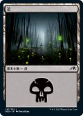 沼/Swamp 【Ver.1】 (NEO)