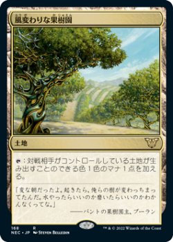 画像1: 風変わりな果樹園/Exotic Orchard (NEC)