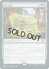 熊の陰影/Bear Umbra (NEC)
