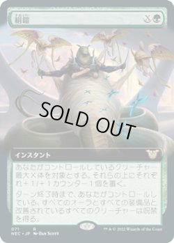 画像1: 絹鎧/Silkguard (NEC)【拡張アート版】