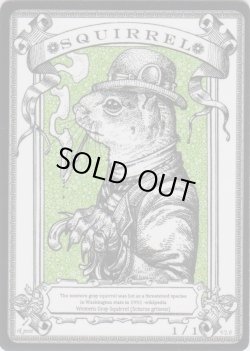 画像1: リス/Squirrel 【登録No.2】 (rk post Token)