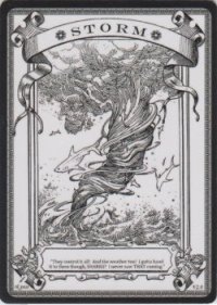 ストーム/Storm 【登録No.1】 (rk post Token)