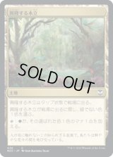 興隆する木立/Thriving Grove (NCC)