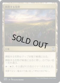 興隆する荒野/Thriving Heath (NCC)