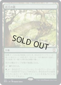 苔汁の橋/Mosswort Bridge (NCC)