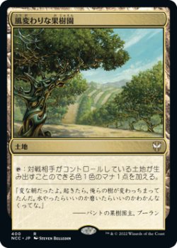 画像1: 風変わりな果樹園/Exotic Orchard (NCC)