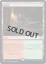 獲物道/Game Trail (NCC)