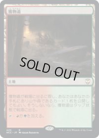 獲物道/Game Trail (NCC)