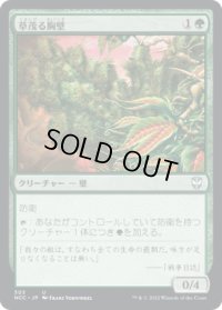 草茂る胸壁/Overgrown Battlement (NCC)