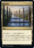 祖先の道/Path of Ancestry (NCC)