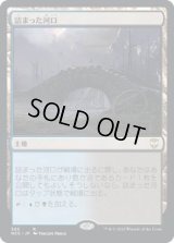 詰まった河口/Choked Estuary (NCC)
