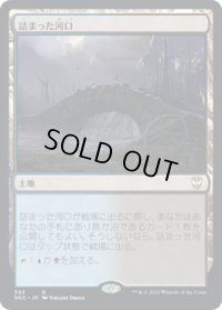 詰まった河口/Choked Estuary (NCC)