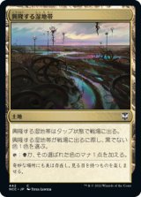 興隆する湿地帯/Thriving Moor (NCC)