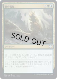 都の進化/Urban Evolution (NCC)