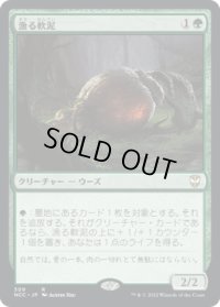 漁る軟泥/Scavenging Ooze (NCC)