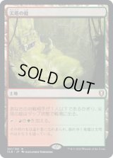尖塔の庭/Spire Garden (CLB)