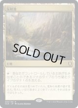 反射池/Reflecting Pool (CLB)