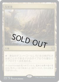 反射池/Reflecting Pool (CLB)