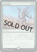 辺境地横断/Traverse the Outlands (CLB)