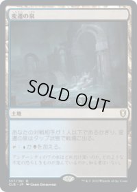 変遷の泉/Morphic Pool (CLB)