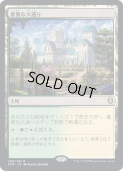 画像1: 豪勢な大通り/Bountiful Promenade (CLB)