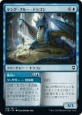 ヤング・ブルー・ドラゴン/Young Blue Dragon (CLB)