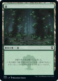 森/Forest 【Ver.2】 (CLB)