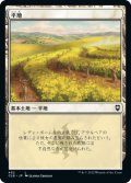 平地/Plains 【Ver.2】 (CLB)