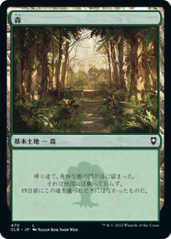 画像1: 森/Forest 【Ver.4】 (CLB)