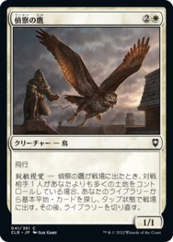 画像1: 偵察の鷹/Scouting Hawk (CLB)