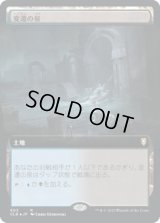 変遷の泉/Morphic Pool (CLB)【拡張アート版】《Foil》