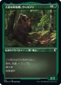 上品な灰色熊、ウィルソン/Wilson, Refined Grizzly (CLB)【エッチング・フォイル版】