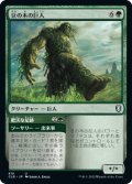 豆の木の巨人/Beanstalk Giant (CLB)【統率者デッキ】