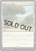 風変わりな果樹園/Exotic Orchard (CLB)【統率者デッキ】