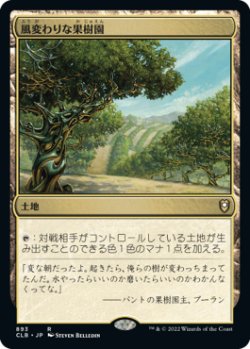 画像1: 風変わりな果樹園/Exotic Orchard (CLB)【統率者デッキ】