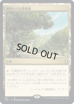 画像1: 風変わりな果樹園/Exotic Orchard (CLB)【統率者デッキ】