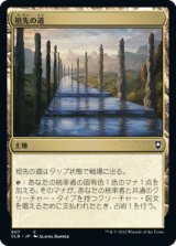 祖先の道/Path of Ancestry (CLB)【統率者デッキ】